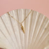 Aloha Sea Shell Gold-Filled Necklace
